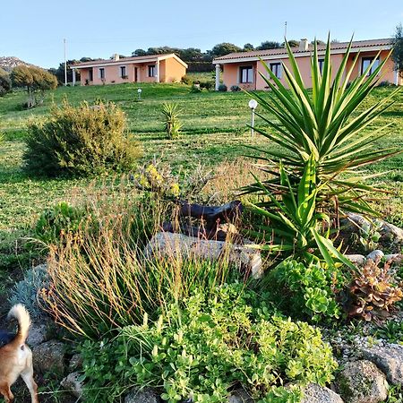 Agriturismo Gli Olivastri Appartamento Corbezzolo Con Piscina E Vista Mare,Climatizzatore,Wifi Aglientu Exterior photo