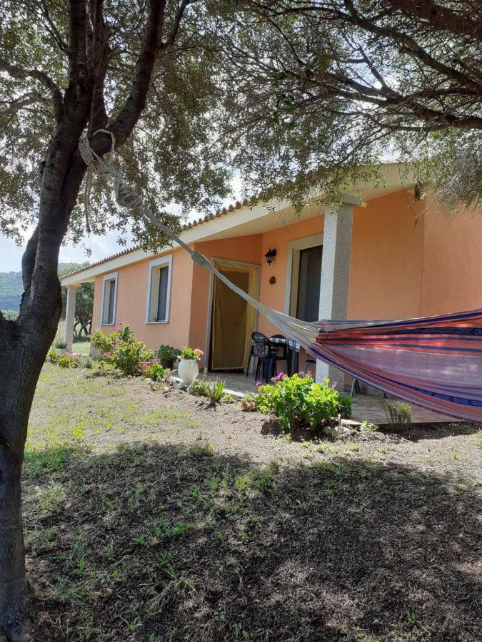 Agriturismo Gli Olivastri Appartamento Corbezzolo Con Piscina E Vista Mare,Climatizzatore,Wifi Aglientu Exterior photo
