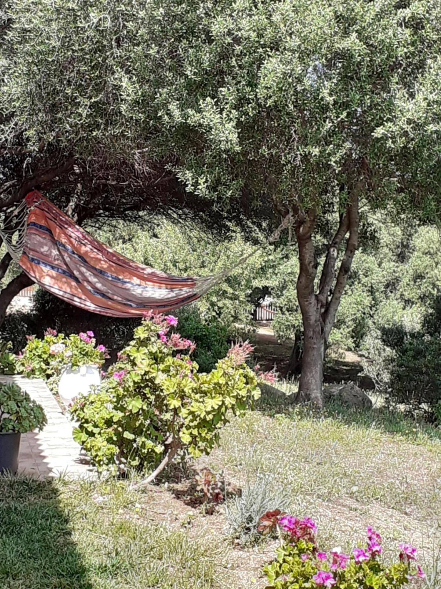 Agriturismo Gli Olivastri Appartamento Corbezzolo Con Piscina E Vista Mare,Climatizzatore,Wifi Aglientu Exterior photo