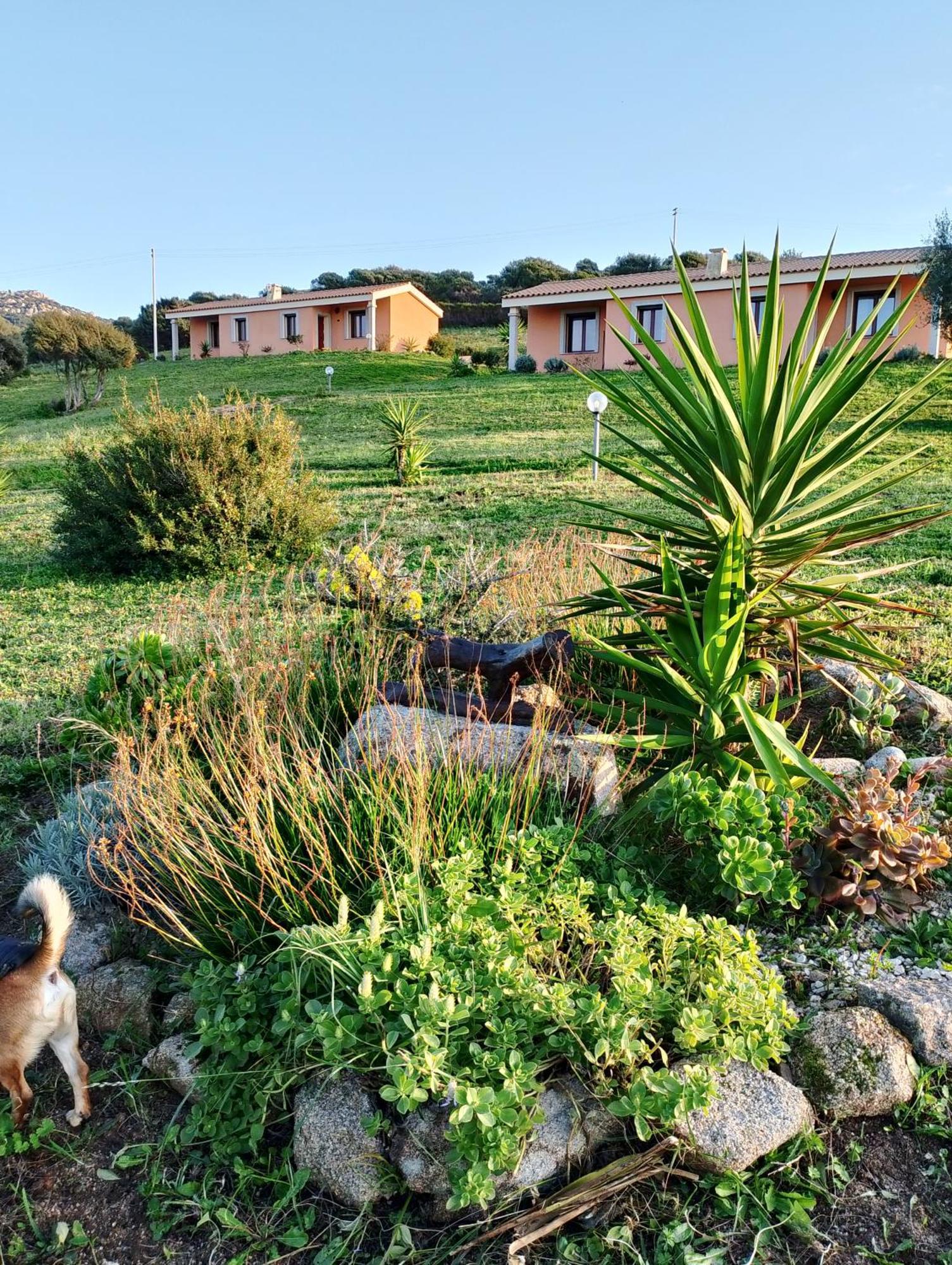 Agriturismo Gli Olivastri Appartamento Corbezzolo Con Piscina E Vista Mare,Climatizzatore,Wifi Aglientu Exterior photo